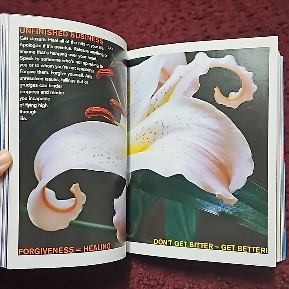 Girlosophy Book - Picture 9 of 13